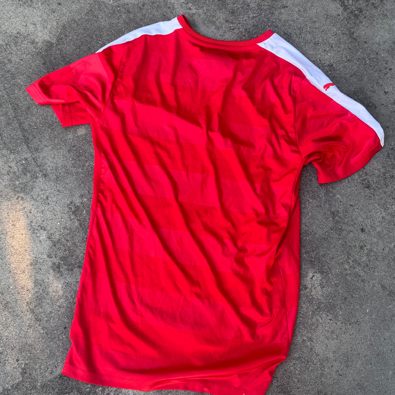 Detailansicht: Sourced limited accessories and clothes Switzerland Puma national team jersey – Logo, Nähte oder Material