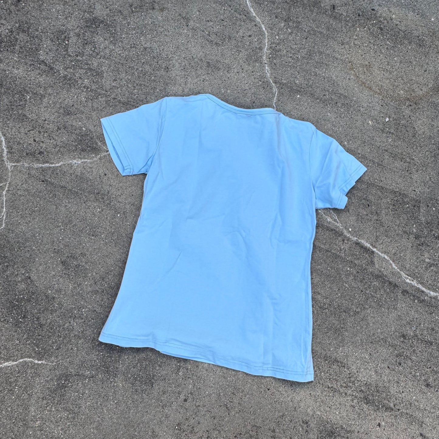 Miss Sixty Asian Leaves Y2K t-shirt