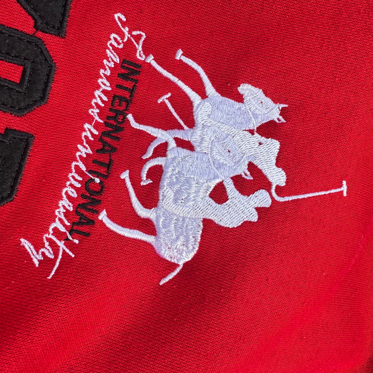 New York Polo by Baxyboy zipped hoodie – Close-up 4