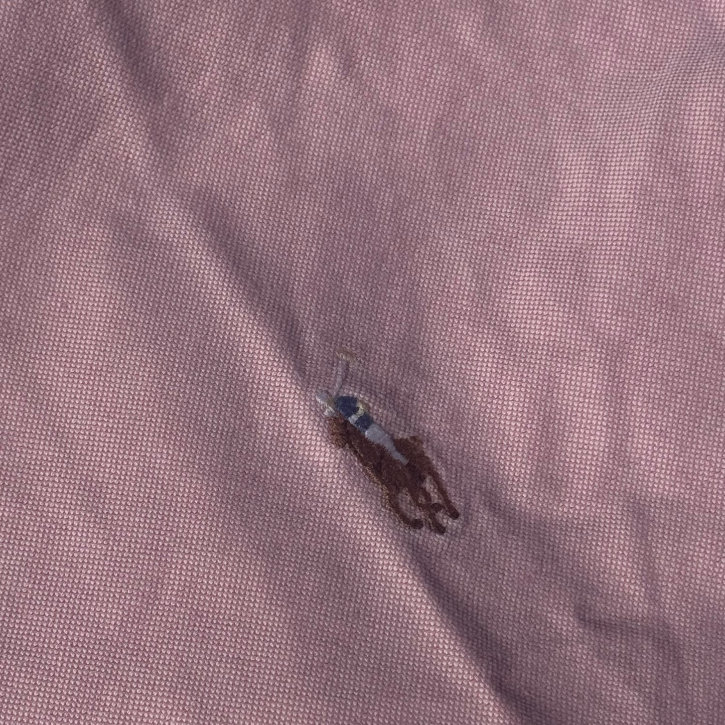 Polo Ralph Lauren pink shirt – Close-up 3